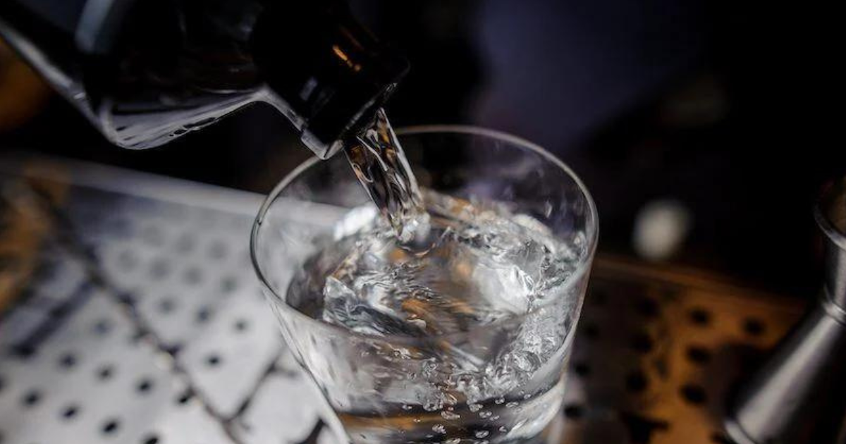 Distilling Gin: The Art of Choosing the Perfect Base