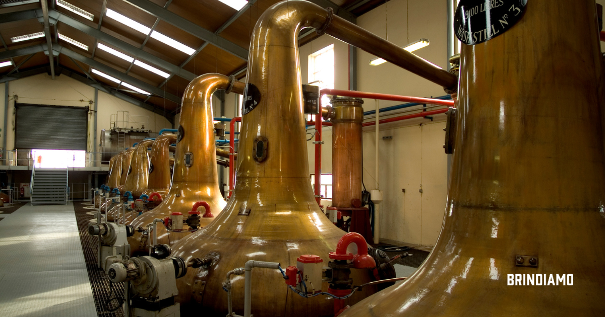 What are the legal requirements starting a distillery?