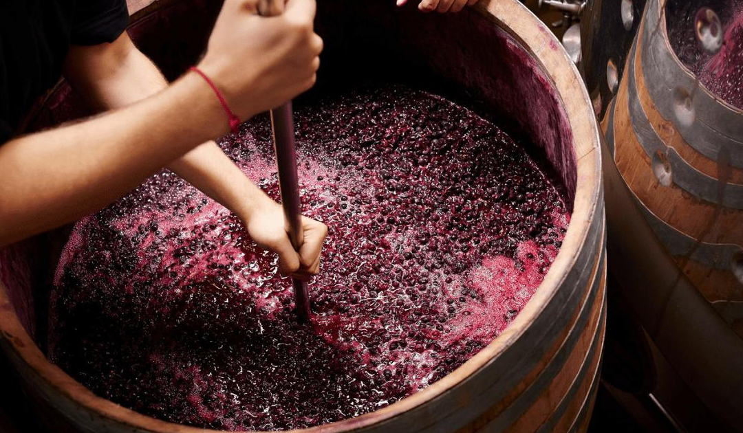 Wine: How is it made?